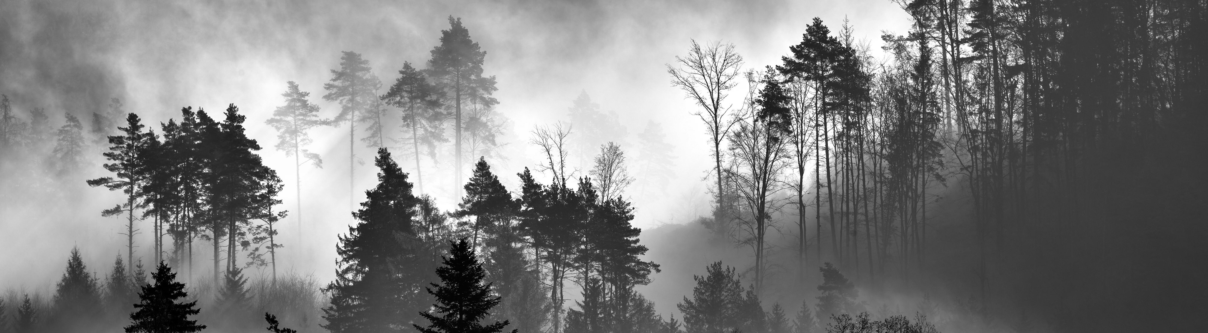 Pavel Gaš in action