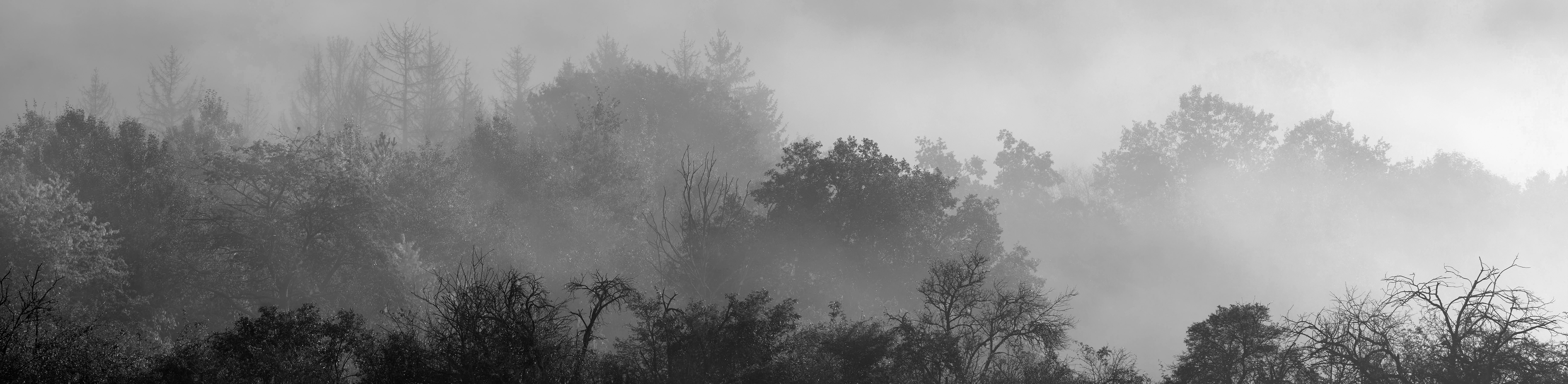 Pavel Gaš in action